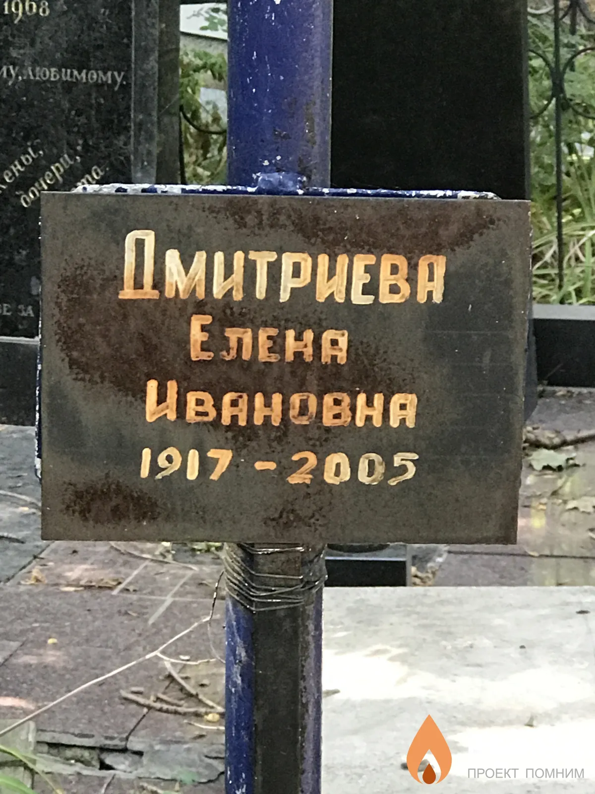 Дмитриева Еленя Ивановня