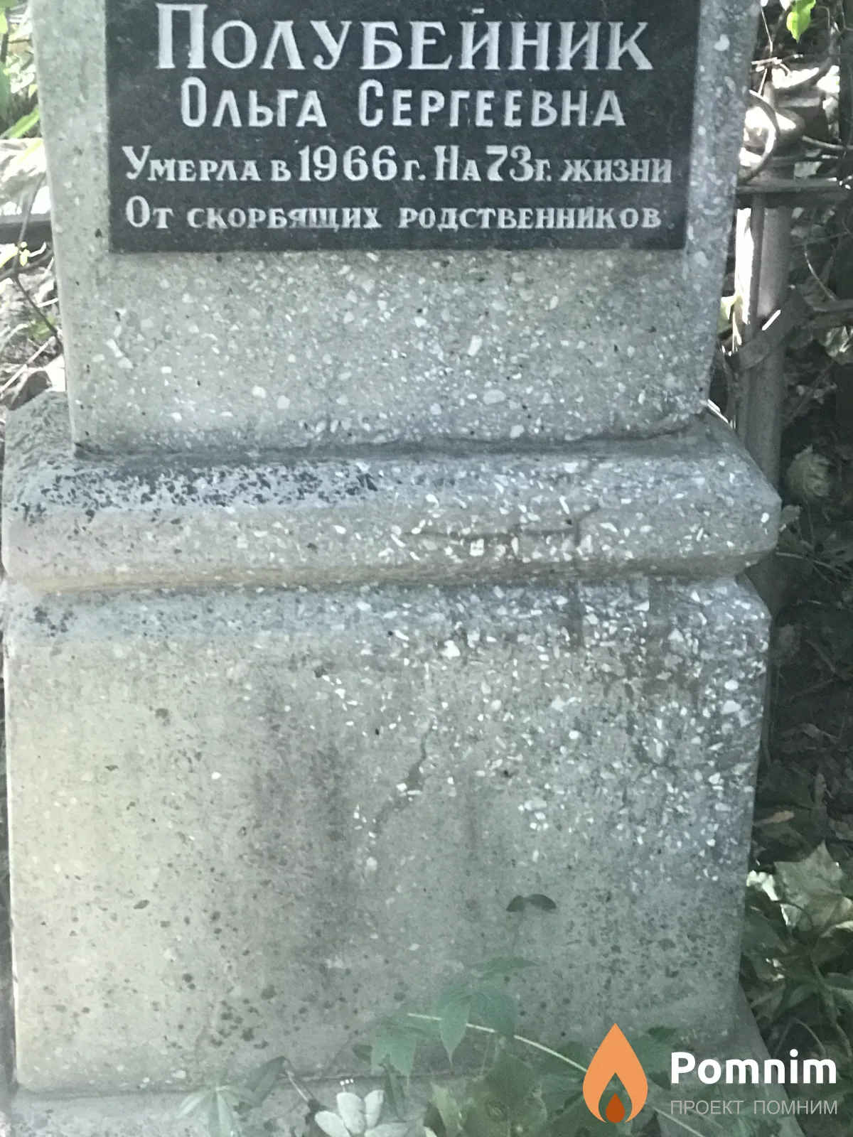 Полубейник Ольга Сергеевна