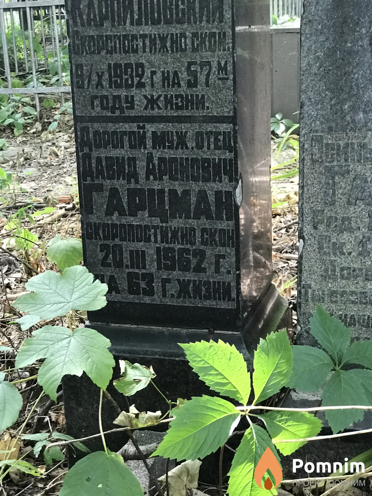 Гарцман Давид Аронович