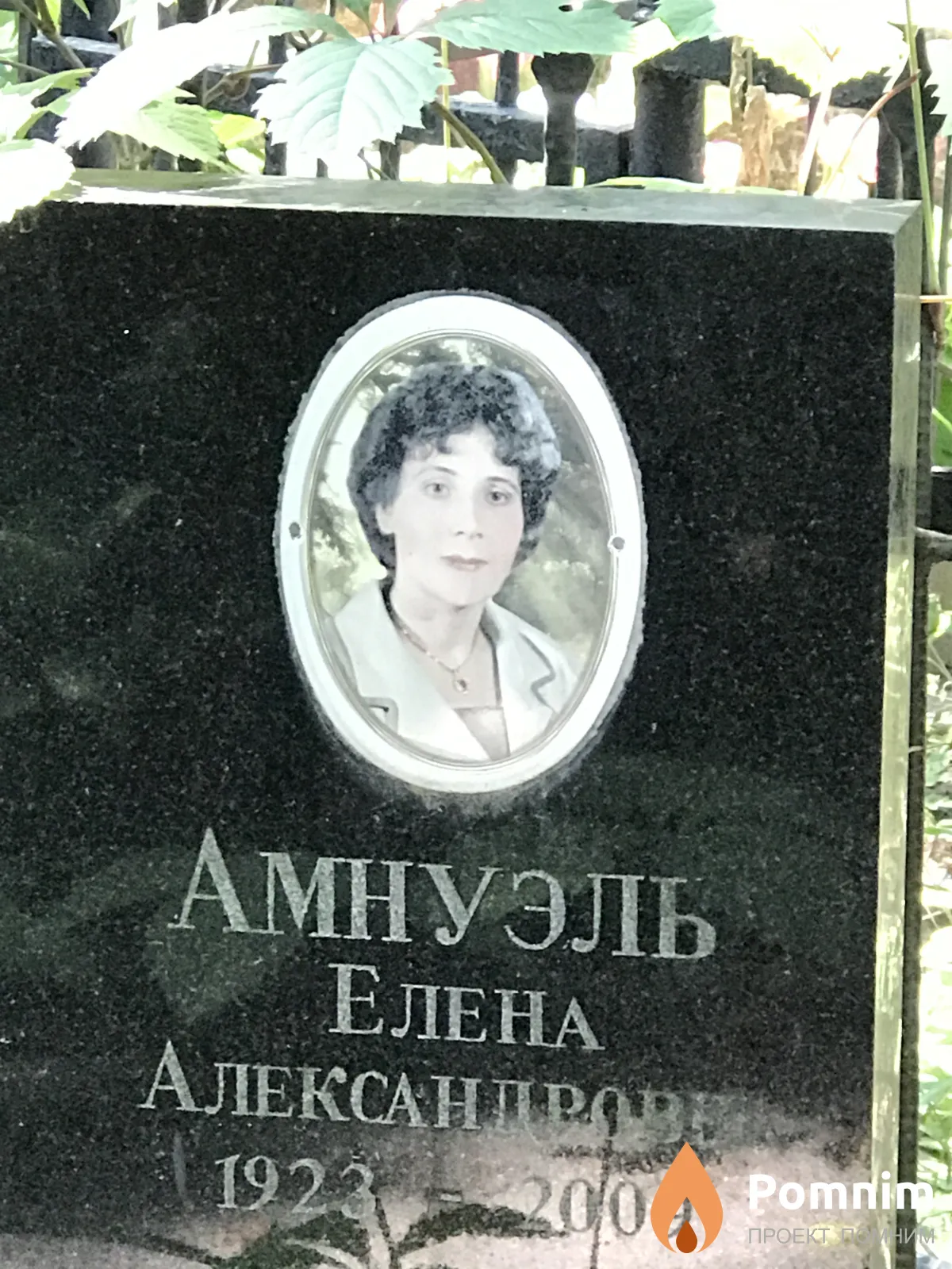 Амнуэль Елена Александровна