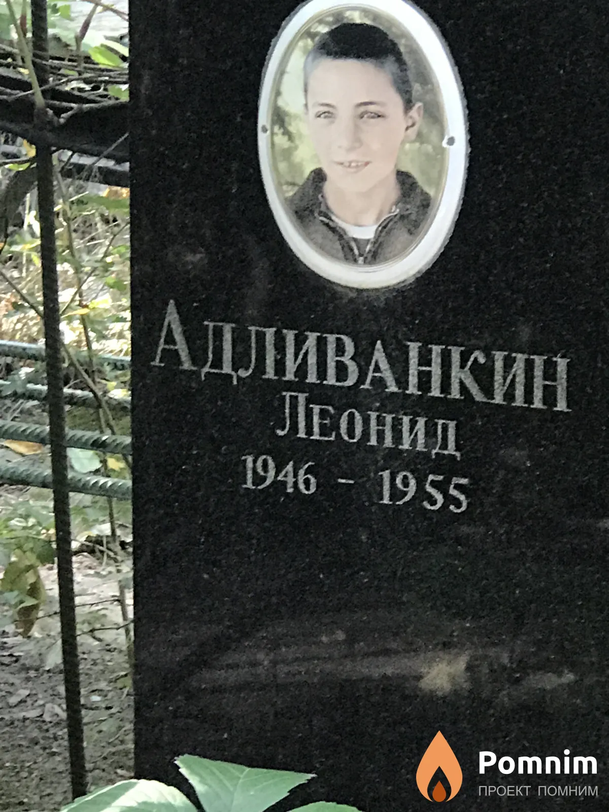 Адливанкин Леонид