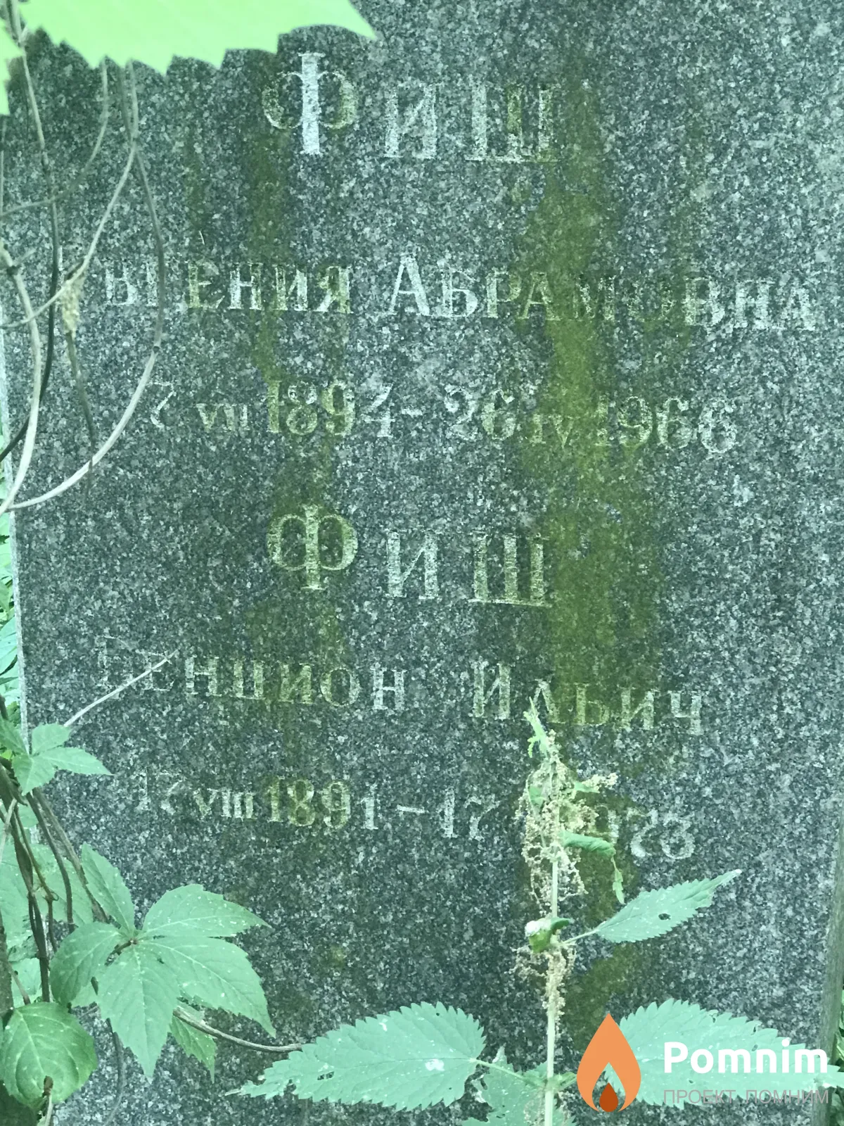 Фиш Евгения Абрамовна