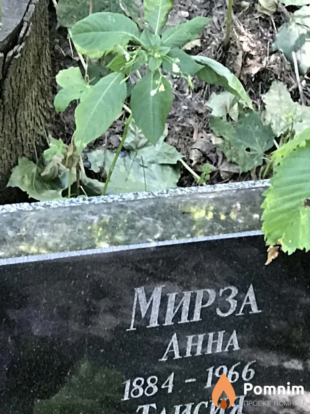 Мирза Анна