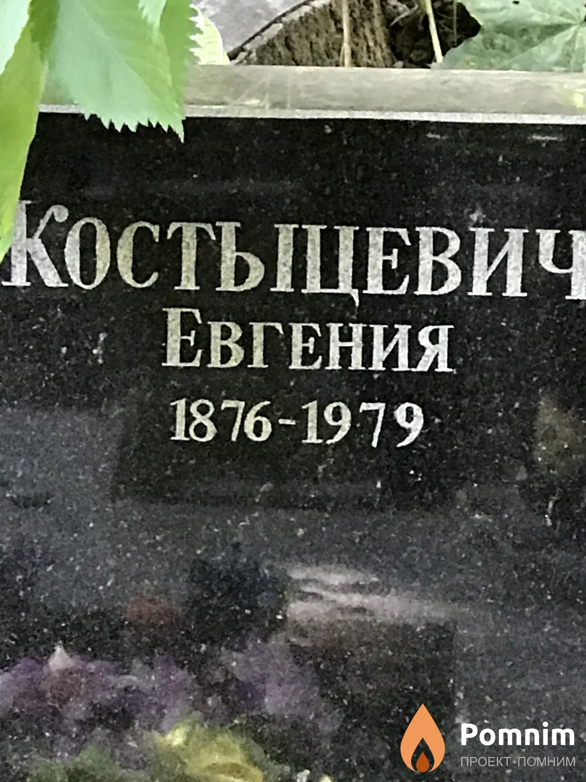 Костыцевич Евгения