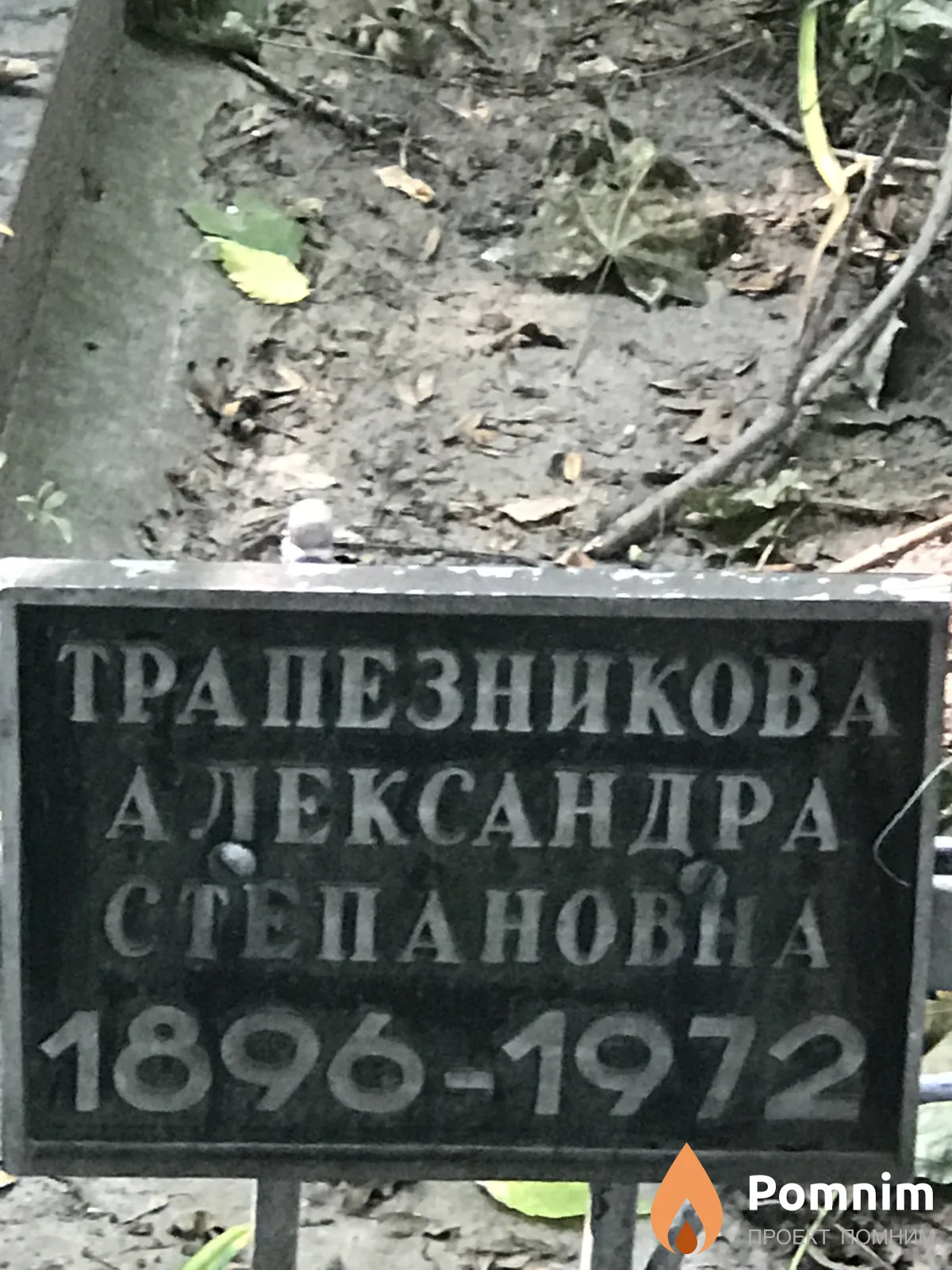 Трапезникова Александра Степанова