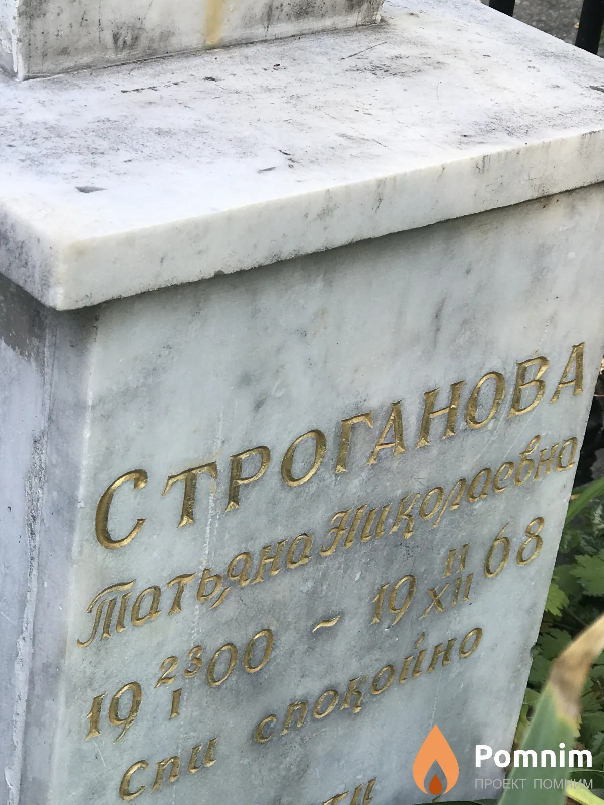 Строганова Татьяна Николавена