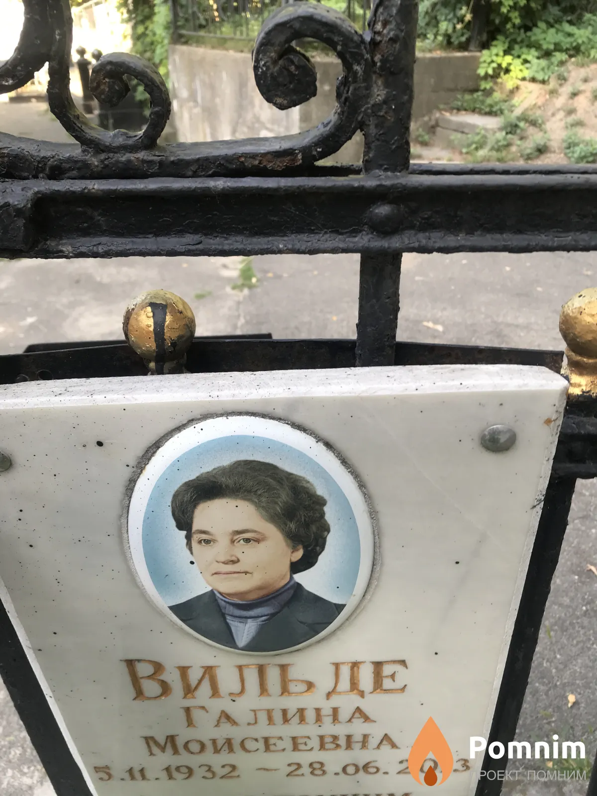 Вильде Галина Моисеевна