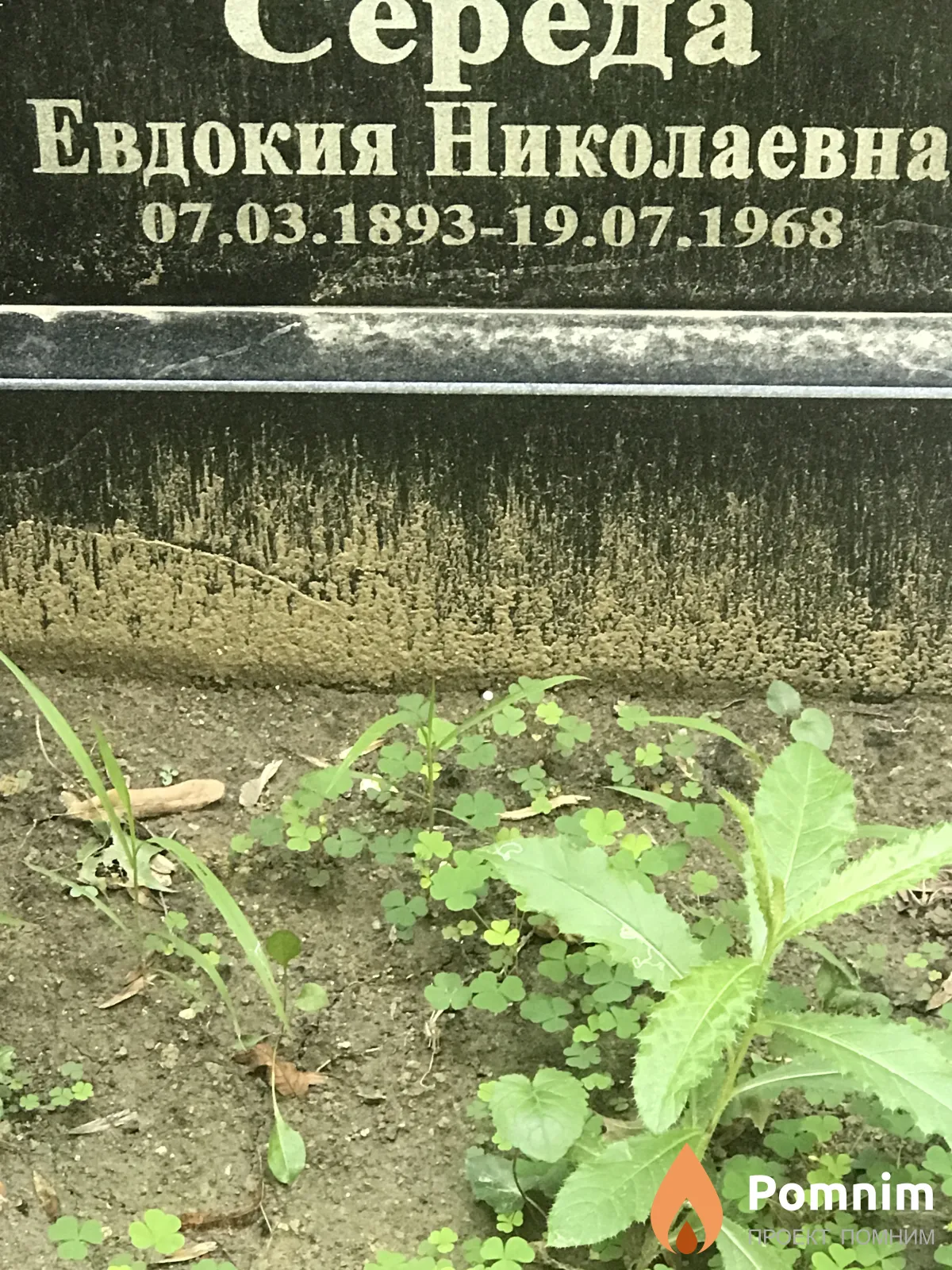Середа Евдокия Николаевна