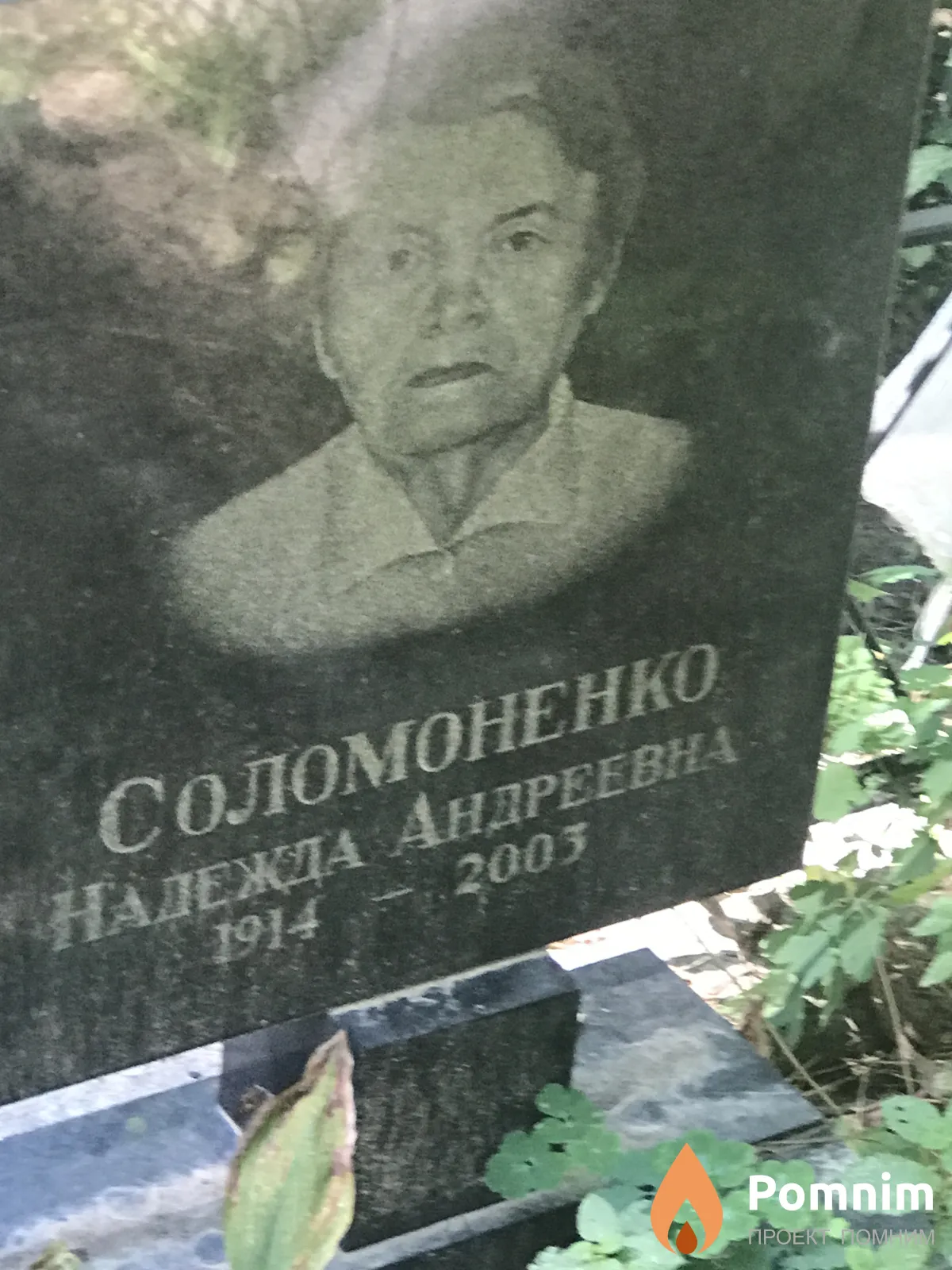 Соломоненко Надежда Андреевна