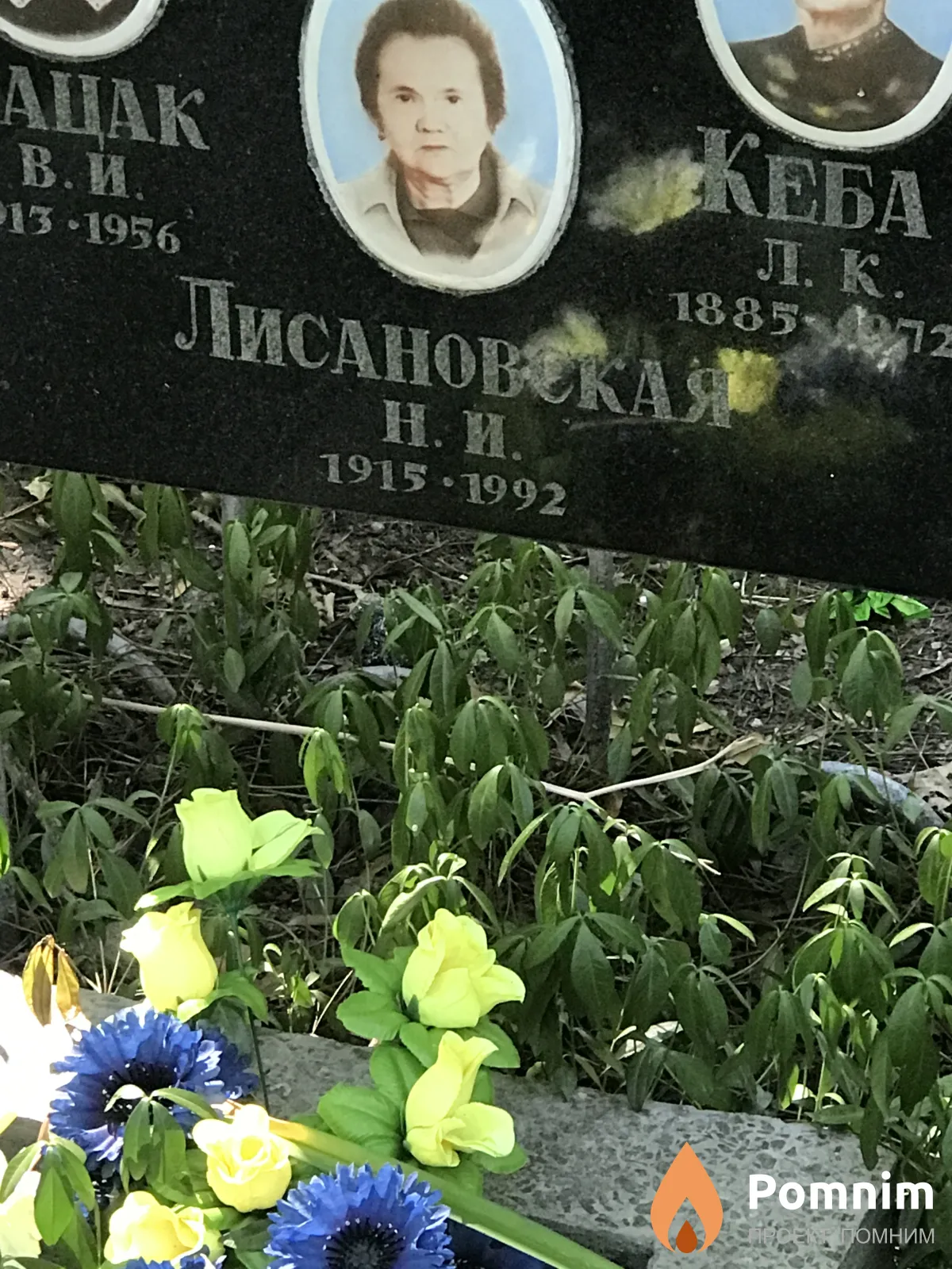 Лисановская Н И