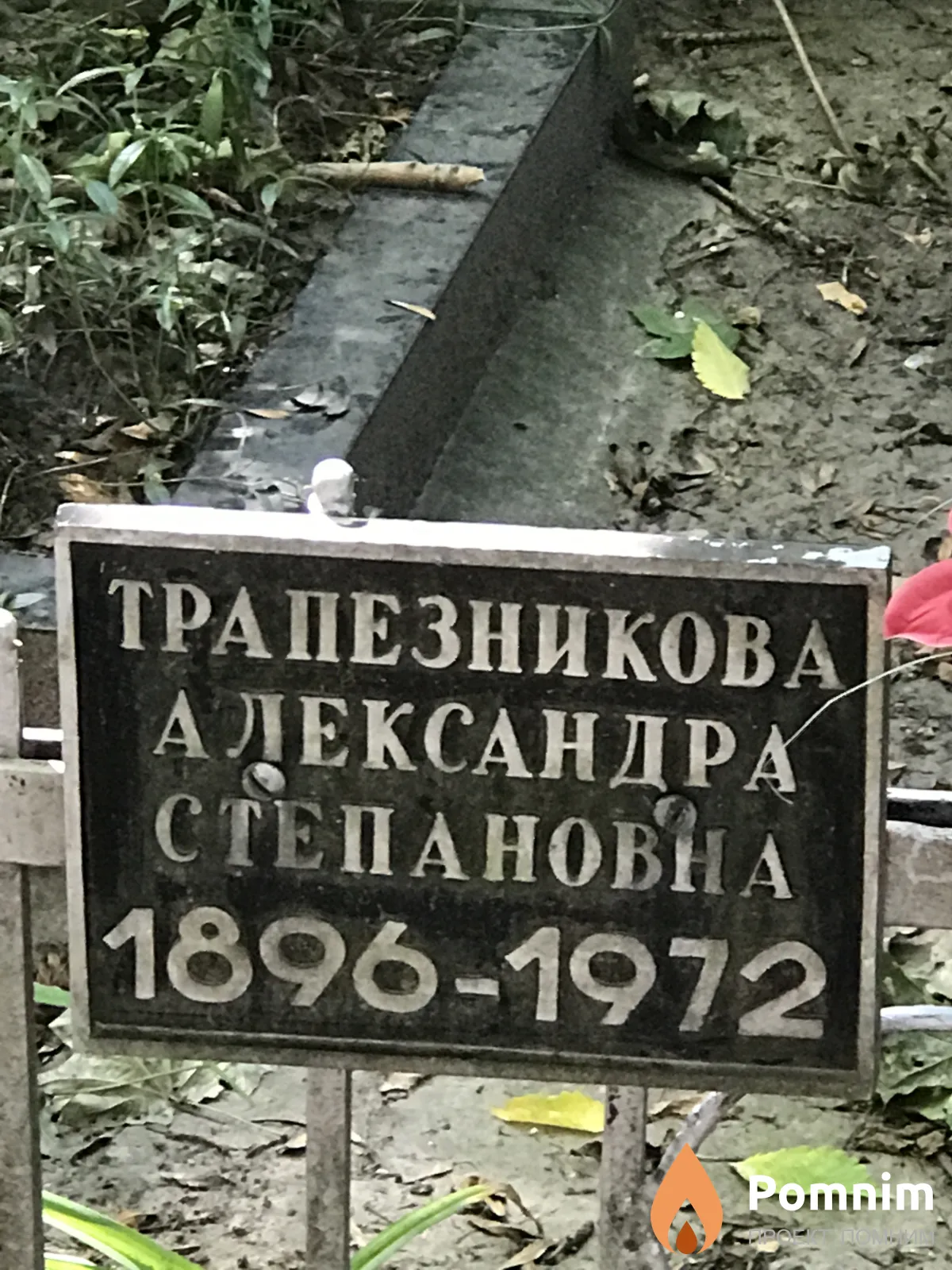 Трапезникова Александра Степановна