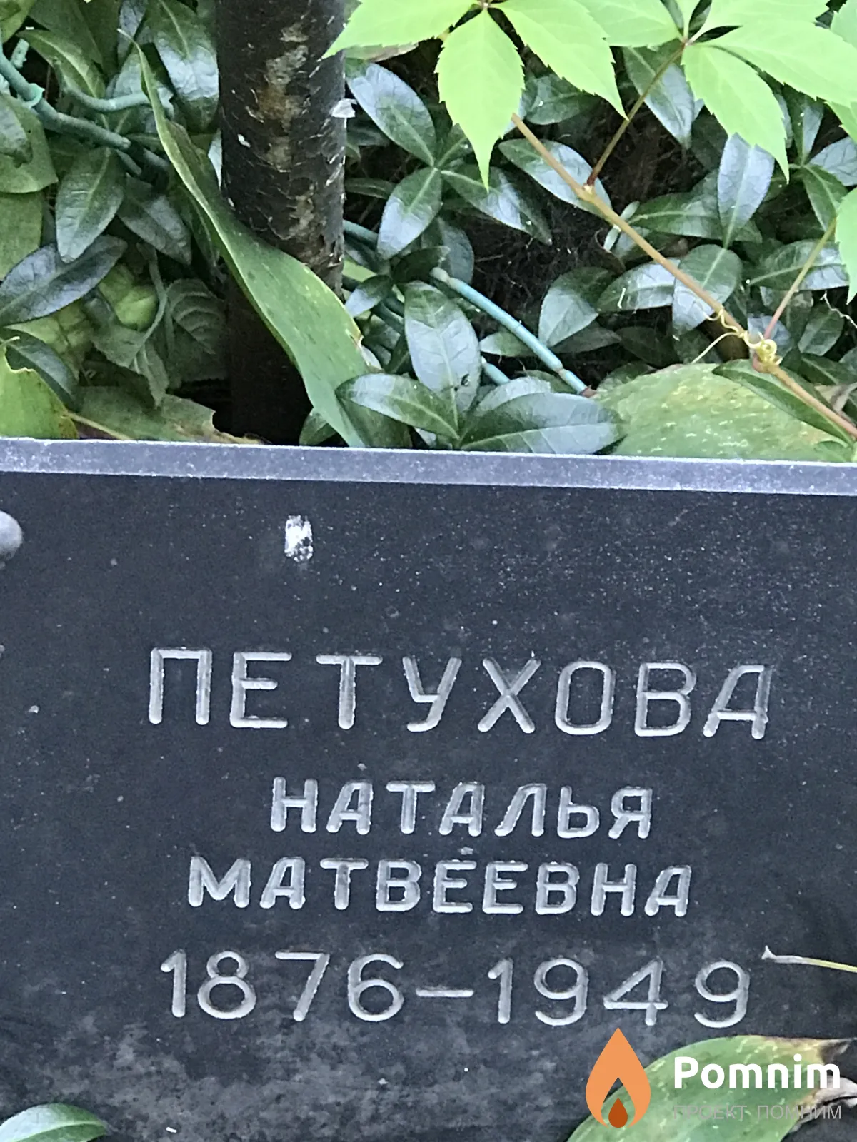 Петухова Наталья Матвеевна