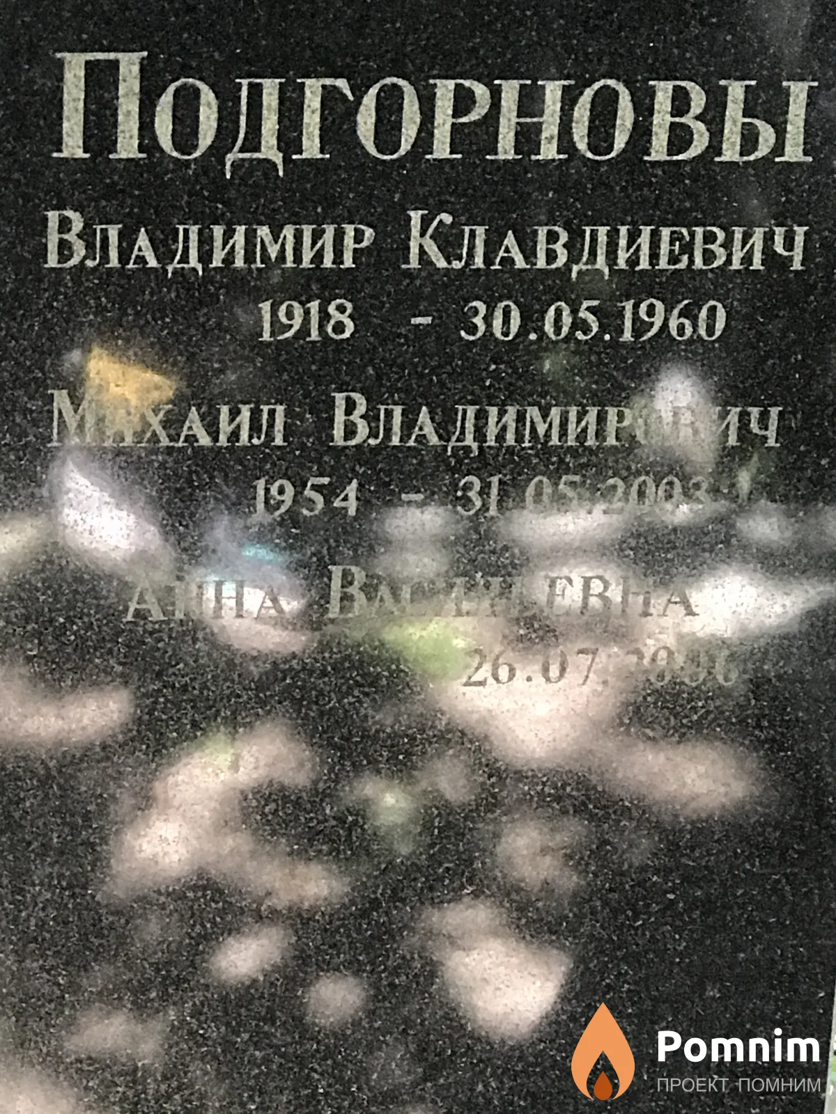 Подгорнов Михаил Владимирович