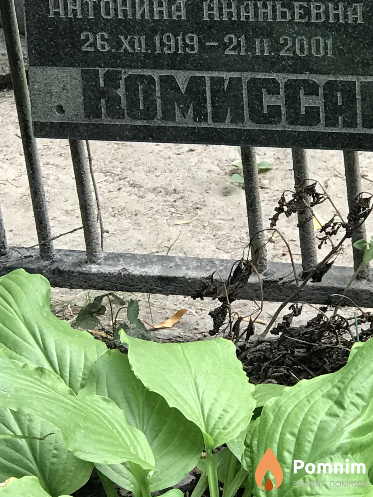 Комисаров Антонина Ананьевна