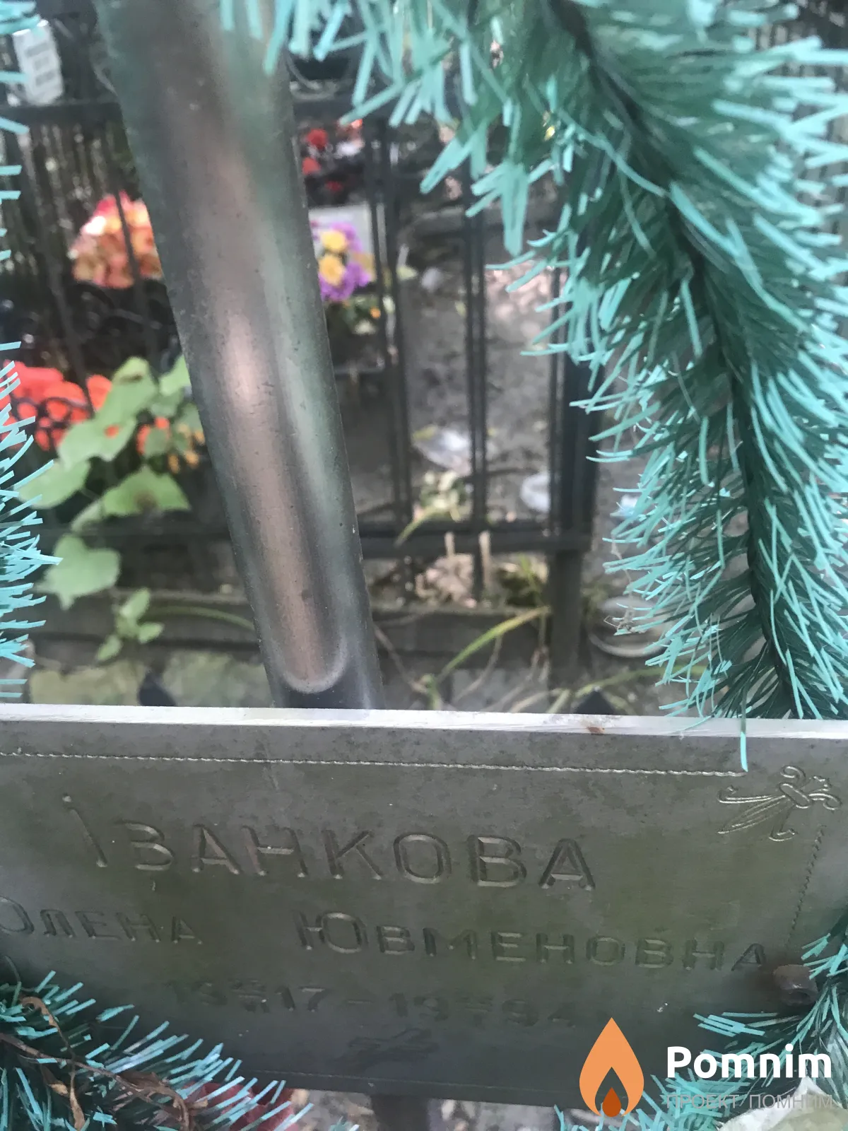 Иванкова Алена Ювменовна