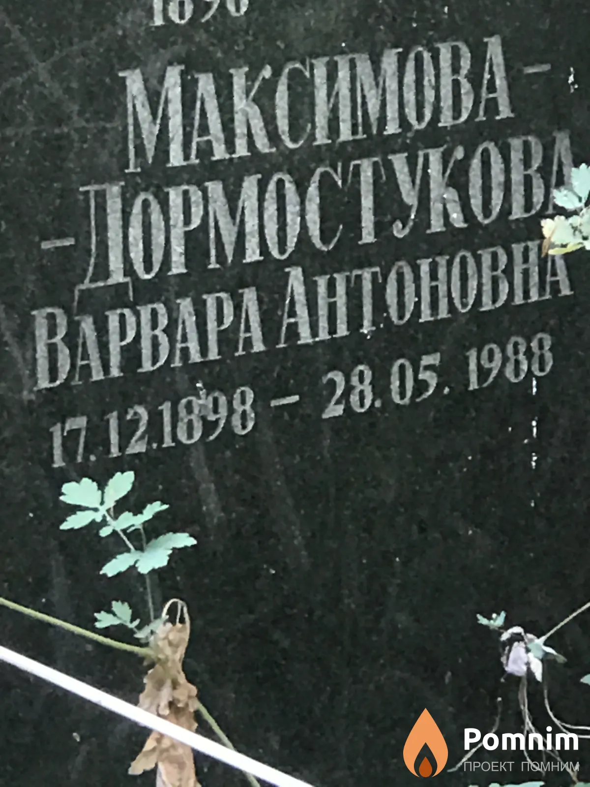 Максимова Варвара Антоновна