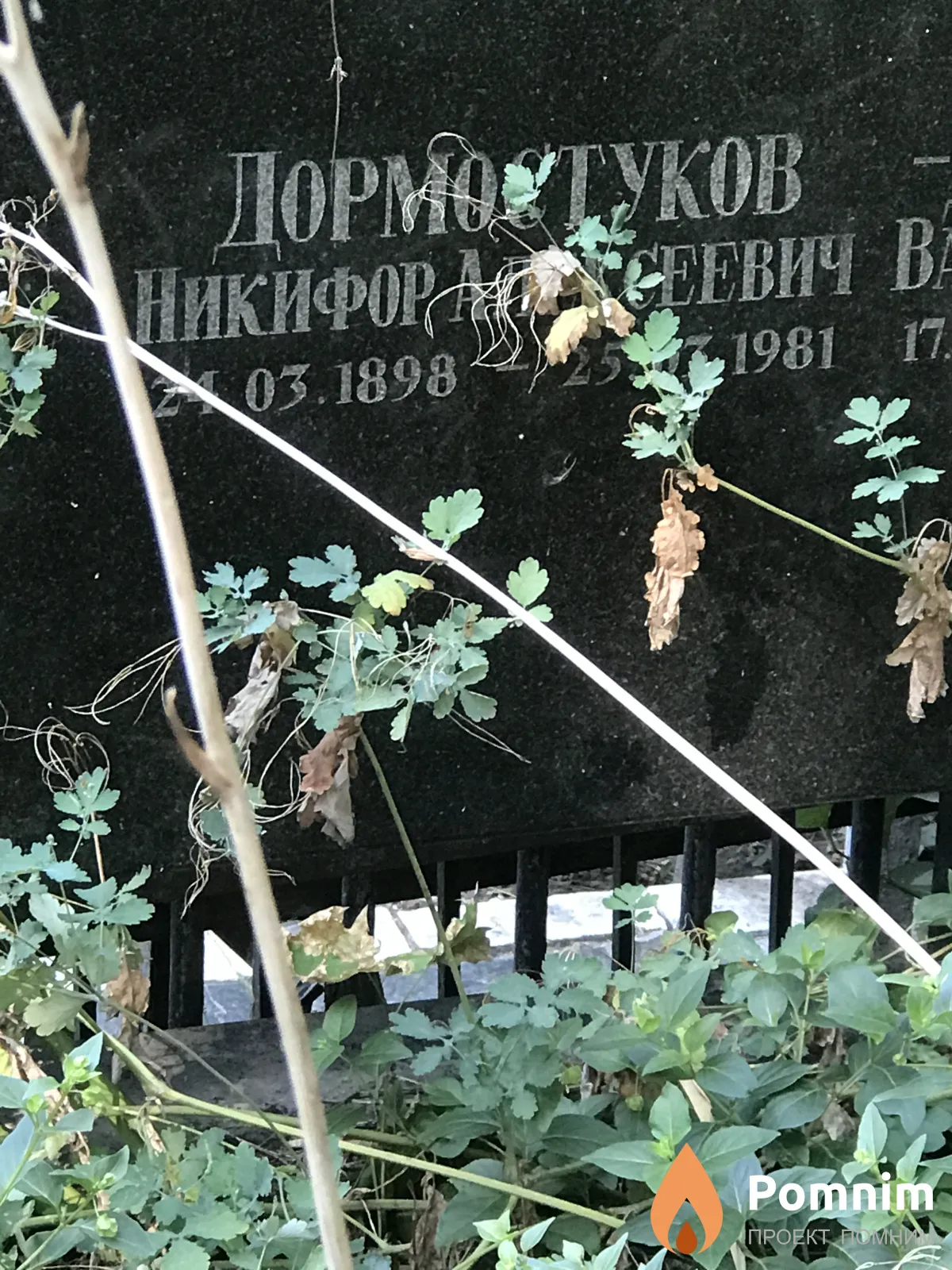 Дормостуков Никифор Алексеевич