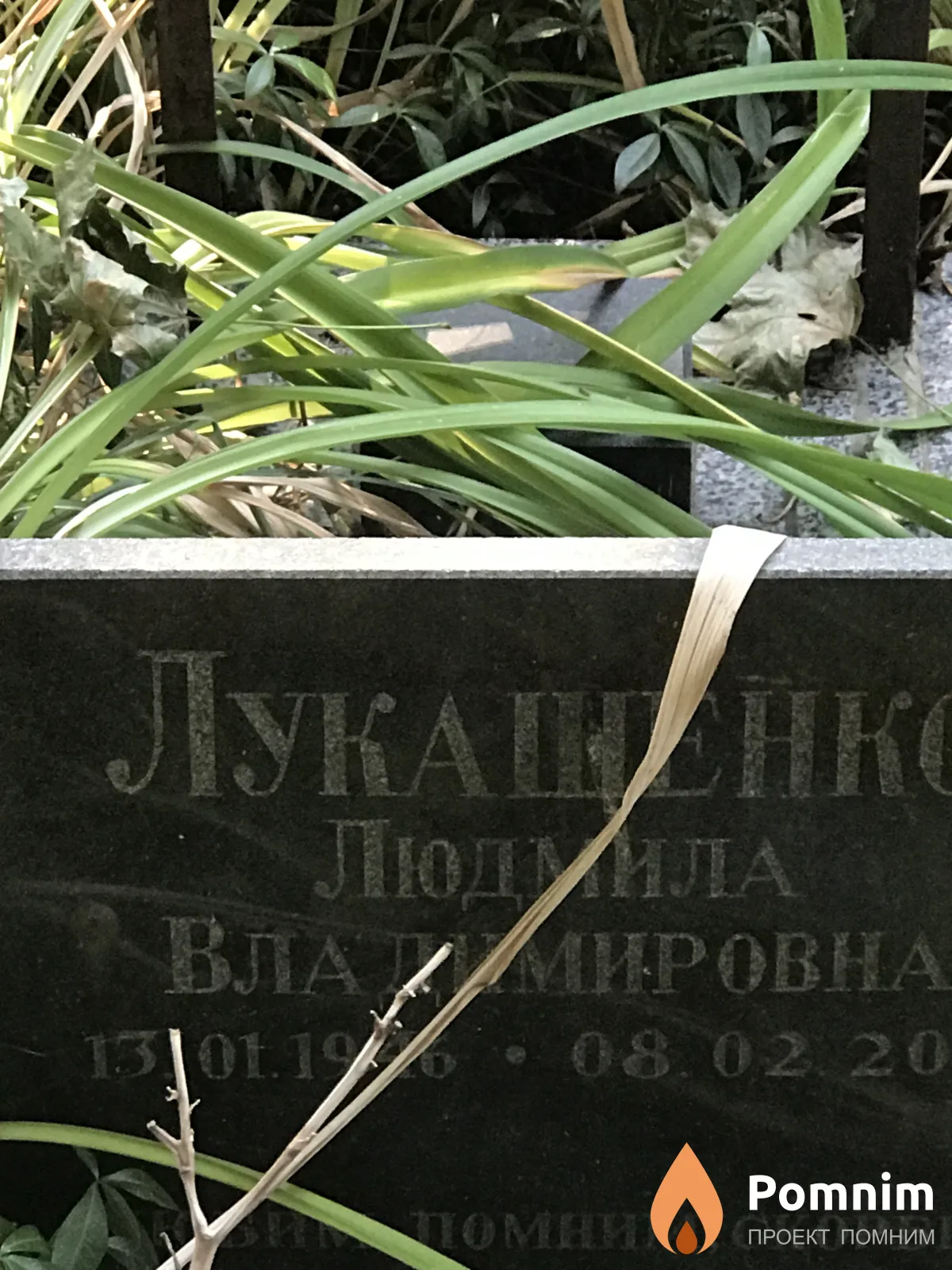 Лукашенко Людмила Владимировна