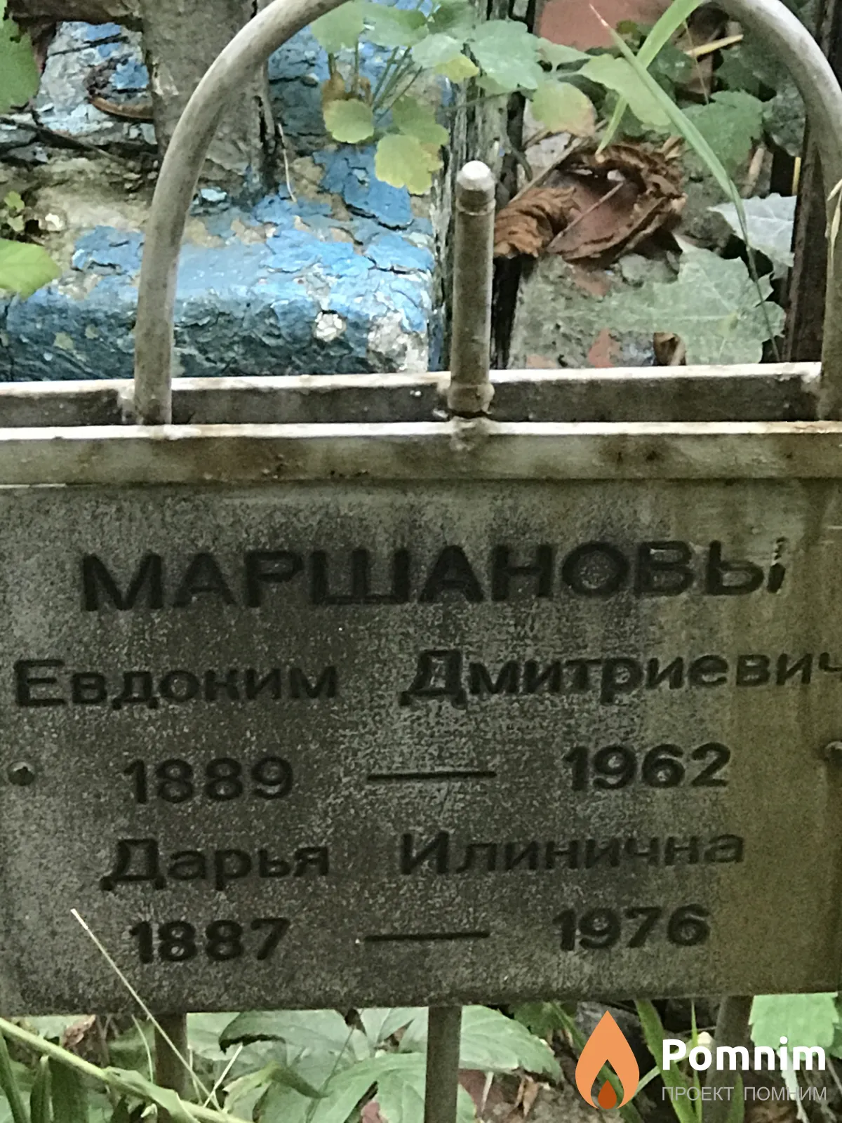 Маршанова Дарья Ильична
