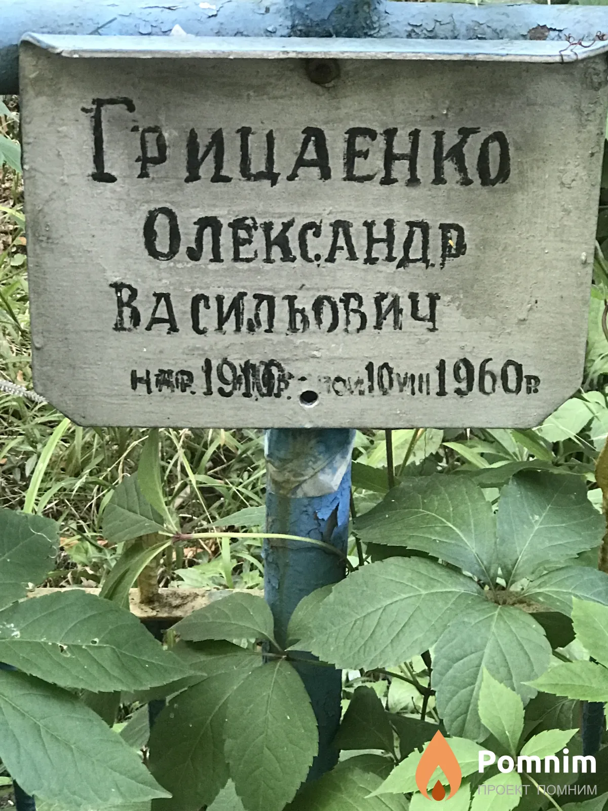 Грицаенко Александр Васильович