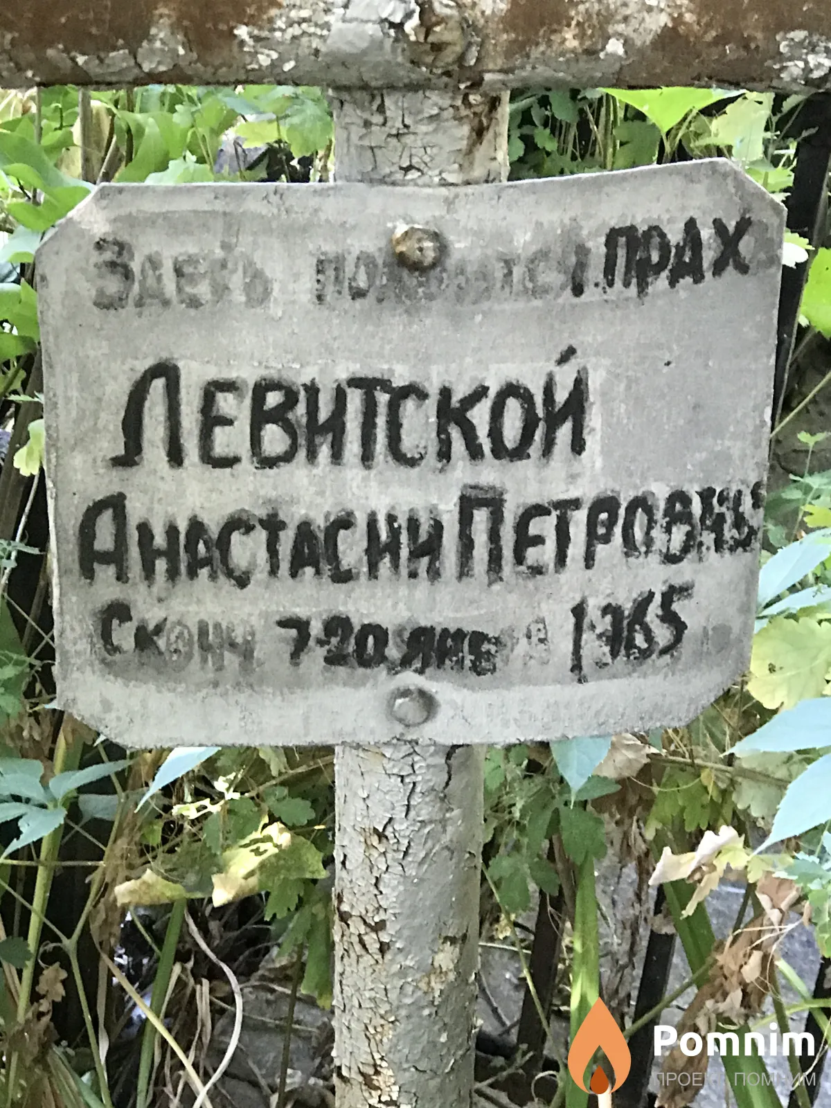 Левитская Анастасия Петровна
