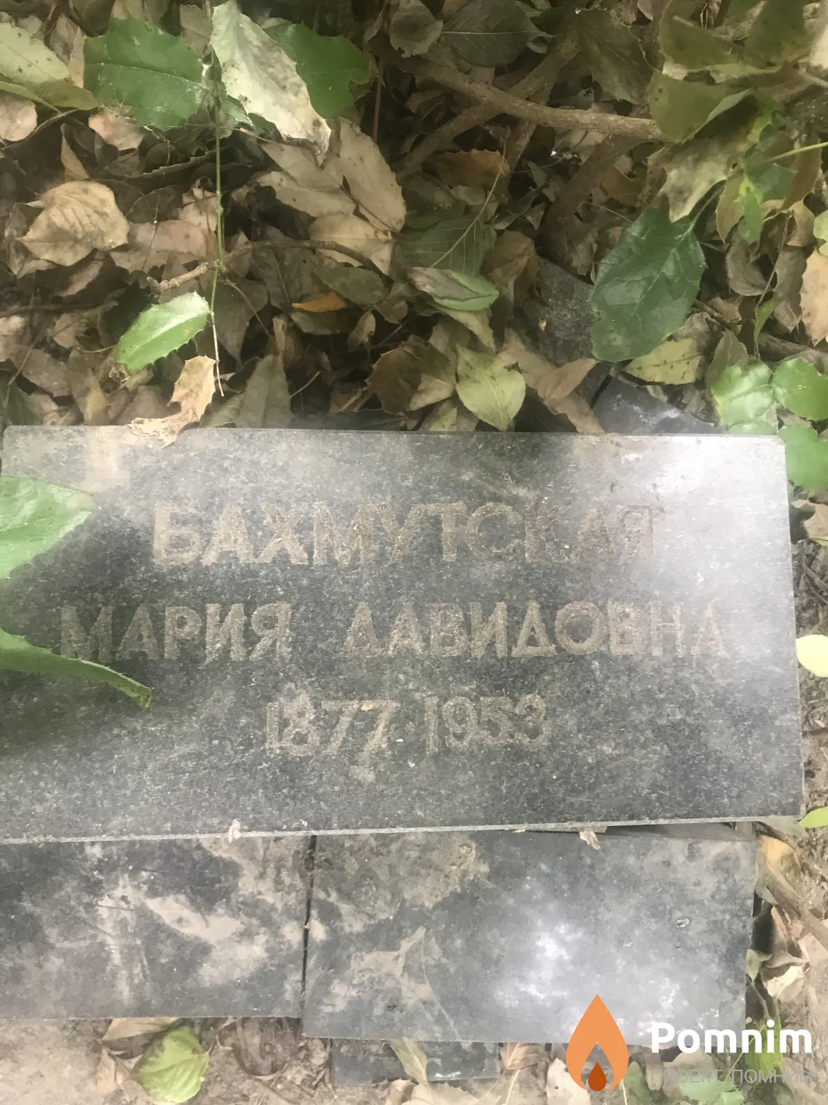 Бахмутская Мария Давидовна