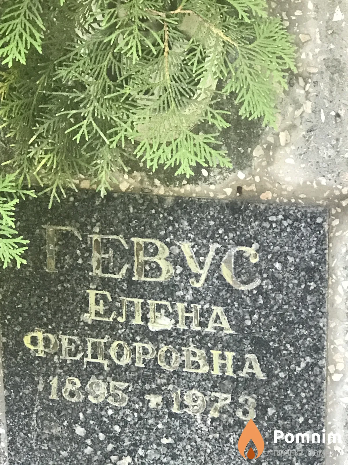 Гевус Елена Федоровна