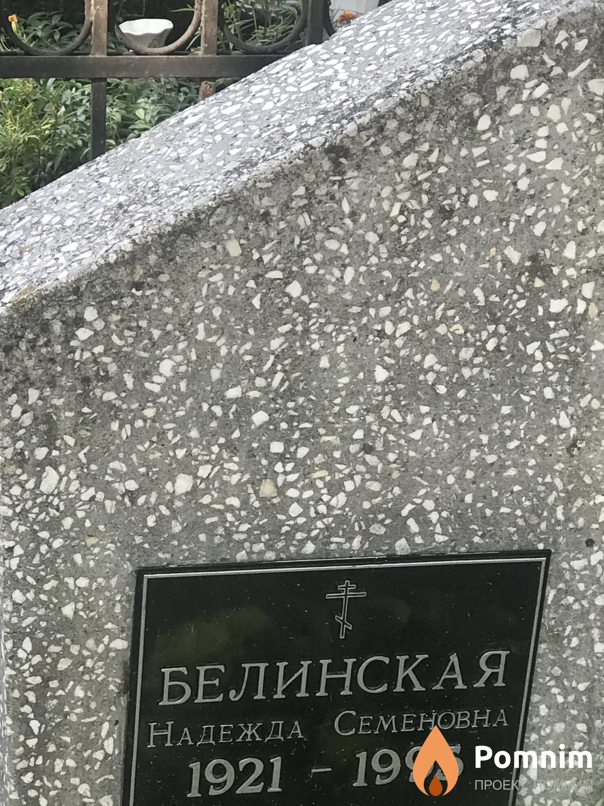 Белинская Надежда Семеновна