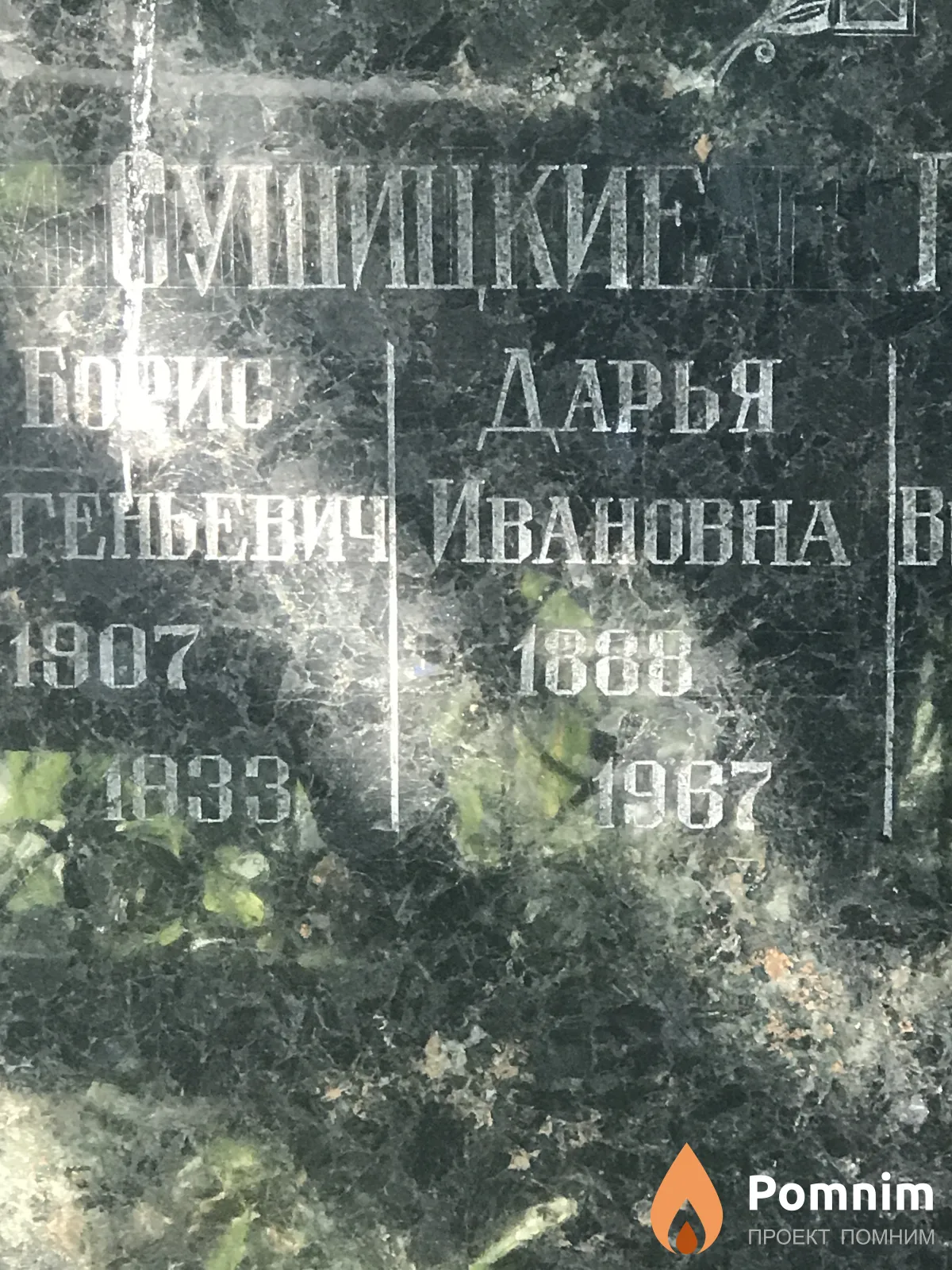 Сушицкая Дарья Викторовна