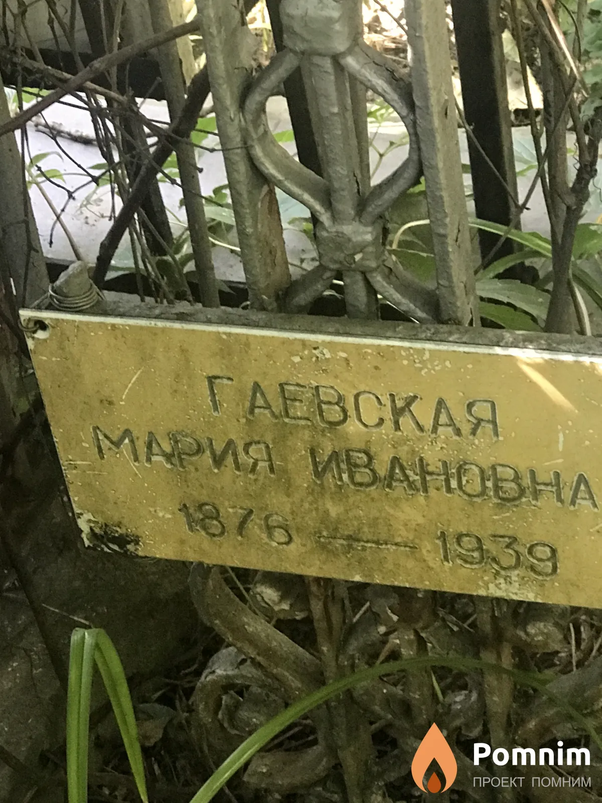 Гаевская Мария Ивановна