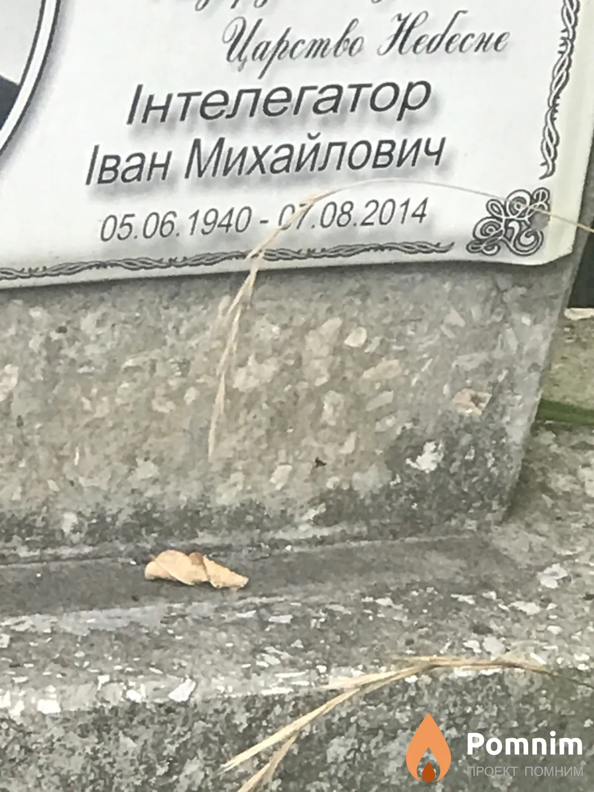 Интелегатор Иван Михайлович
