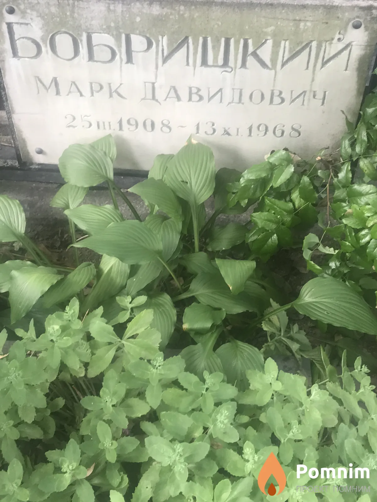 Бобрицкий Марк Давидович