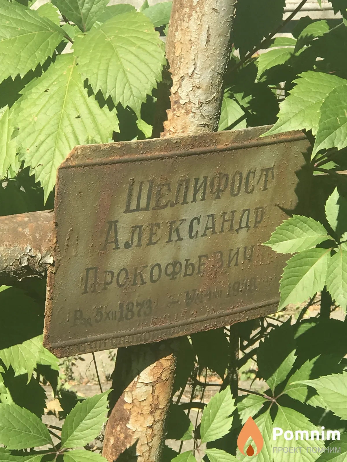 Шелифост Александр Прокофьевич