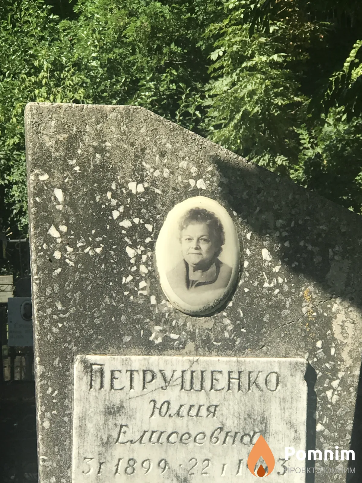 Петруашенко Юлия Елисеевна