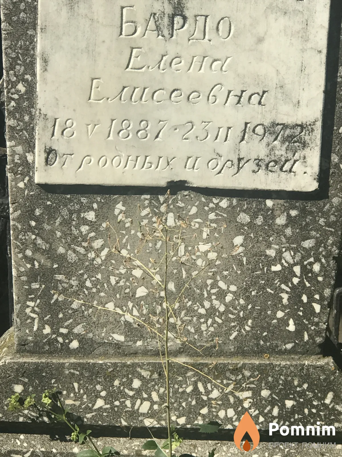Бардо Елена Елисеевна