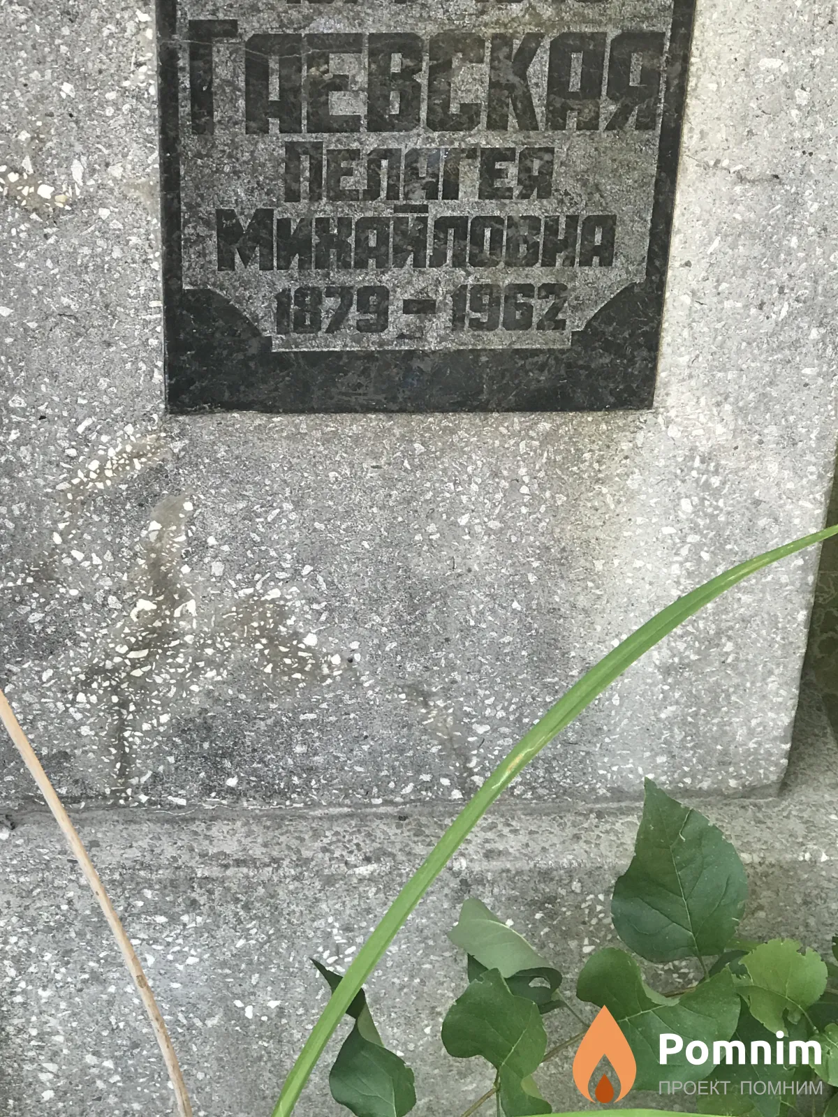 Гаевская Пелагея Михайловна