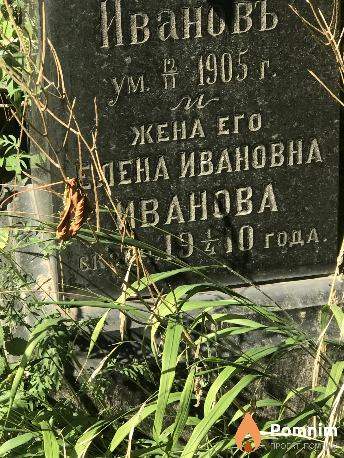 Иванова Елена Ивановна