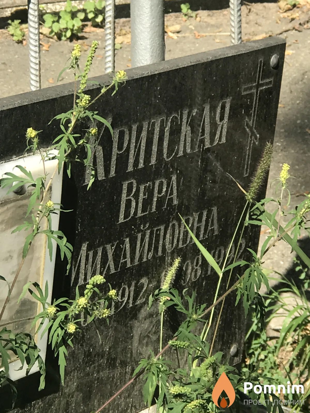 Критская Вера Михайловна
