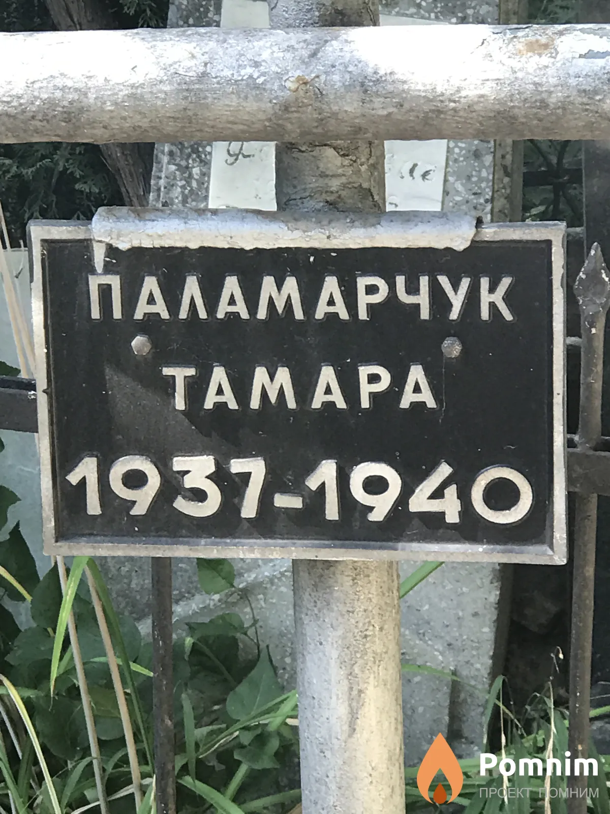 Паламарчук Τамар