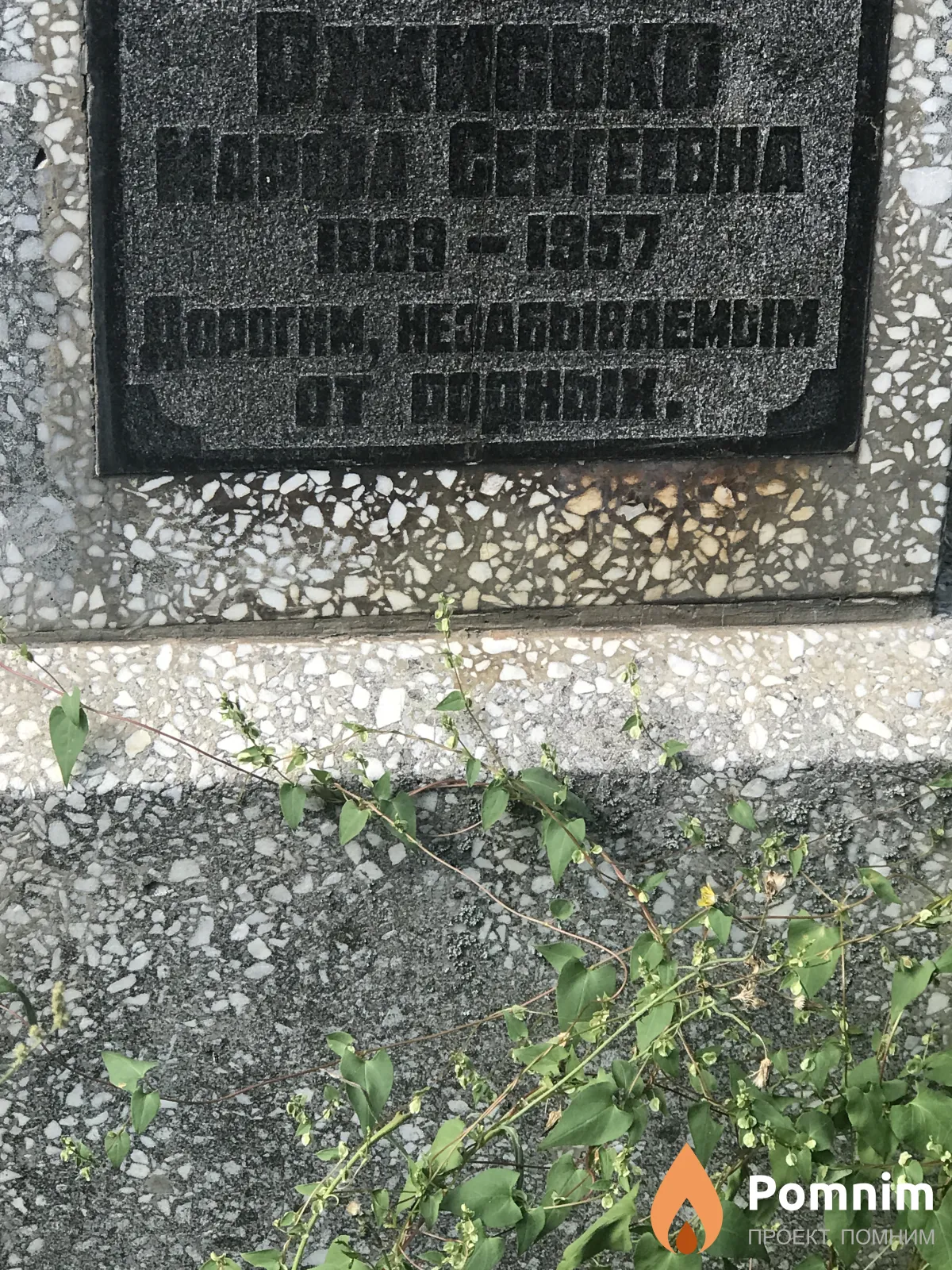 Ржисько Иарфа Сергеевна