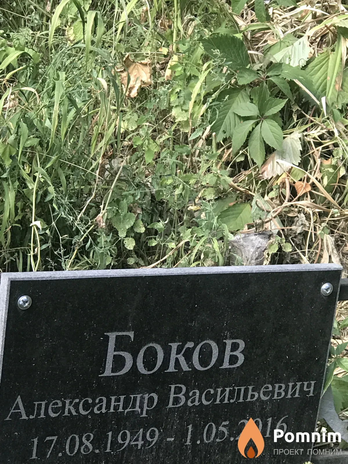 Боков Александр Васильевич