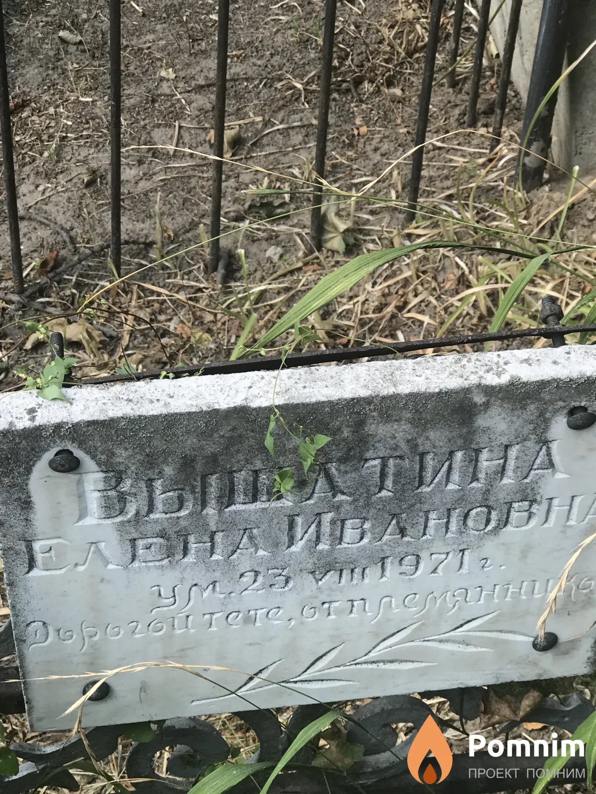 Вышатина Елена Ивановна