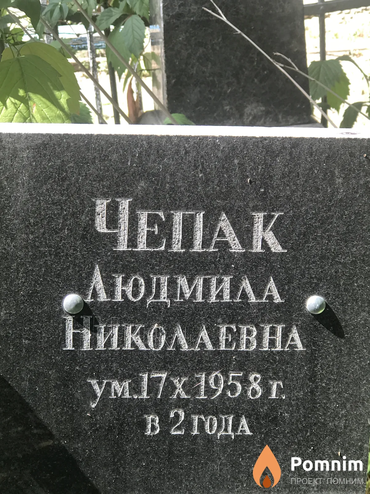 Чепак Людмила Николаевна