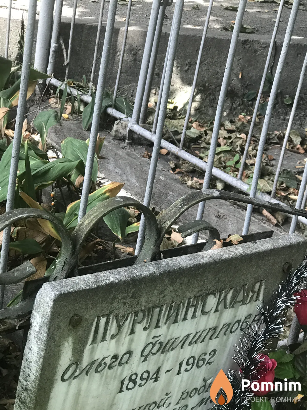 Пурлинская Ольга Филиповна