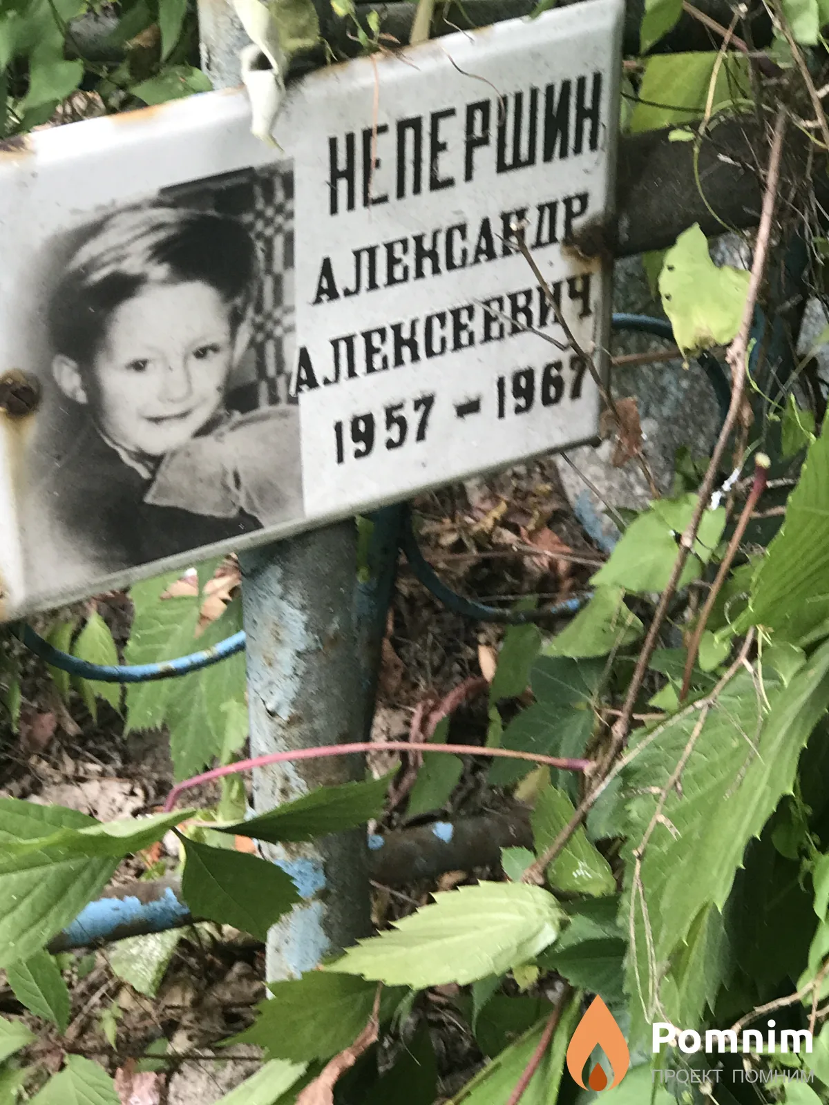 Непершин Александр Алексеевич
