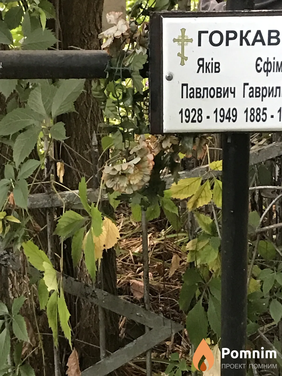 Горкави Яков Павлович