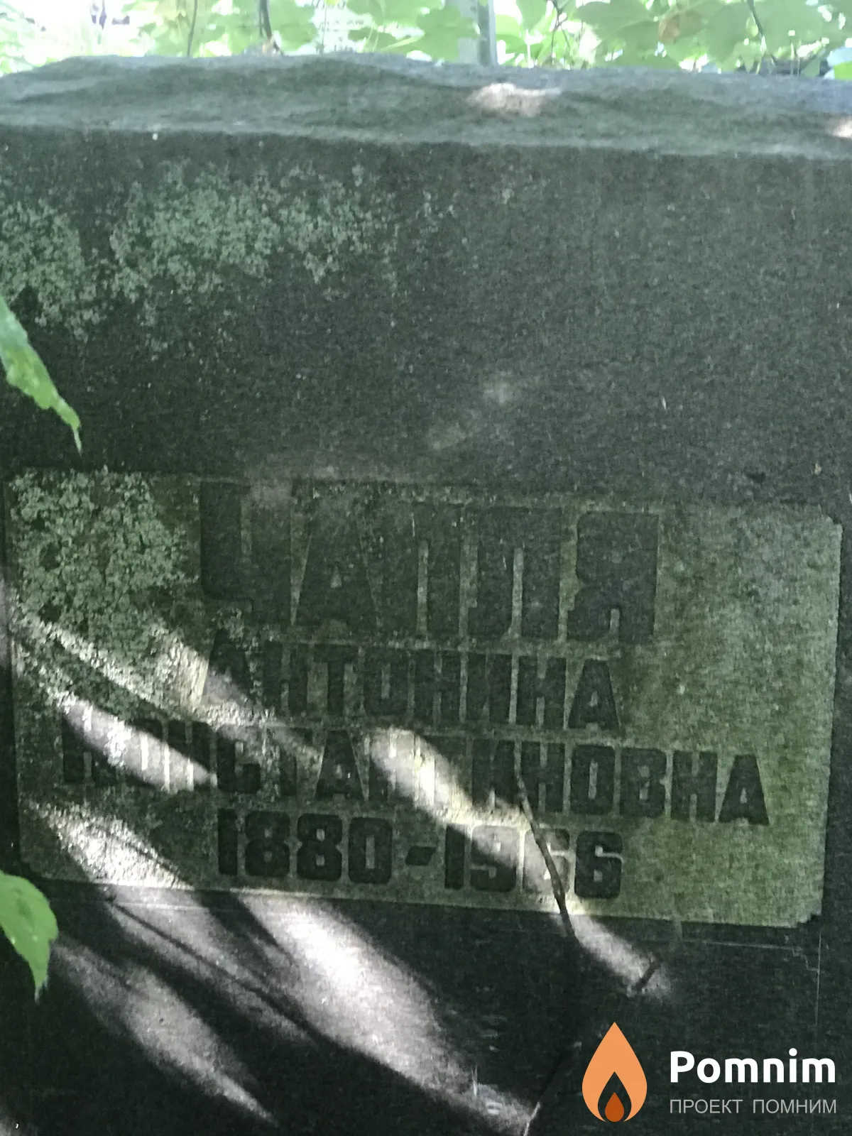 Чапля Антонина Константиновна