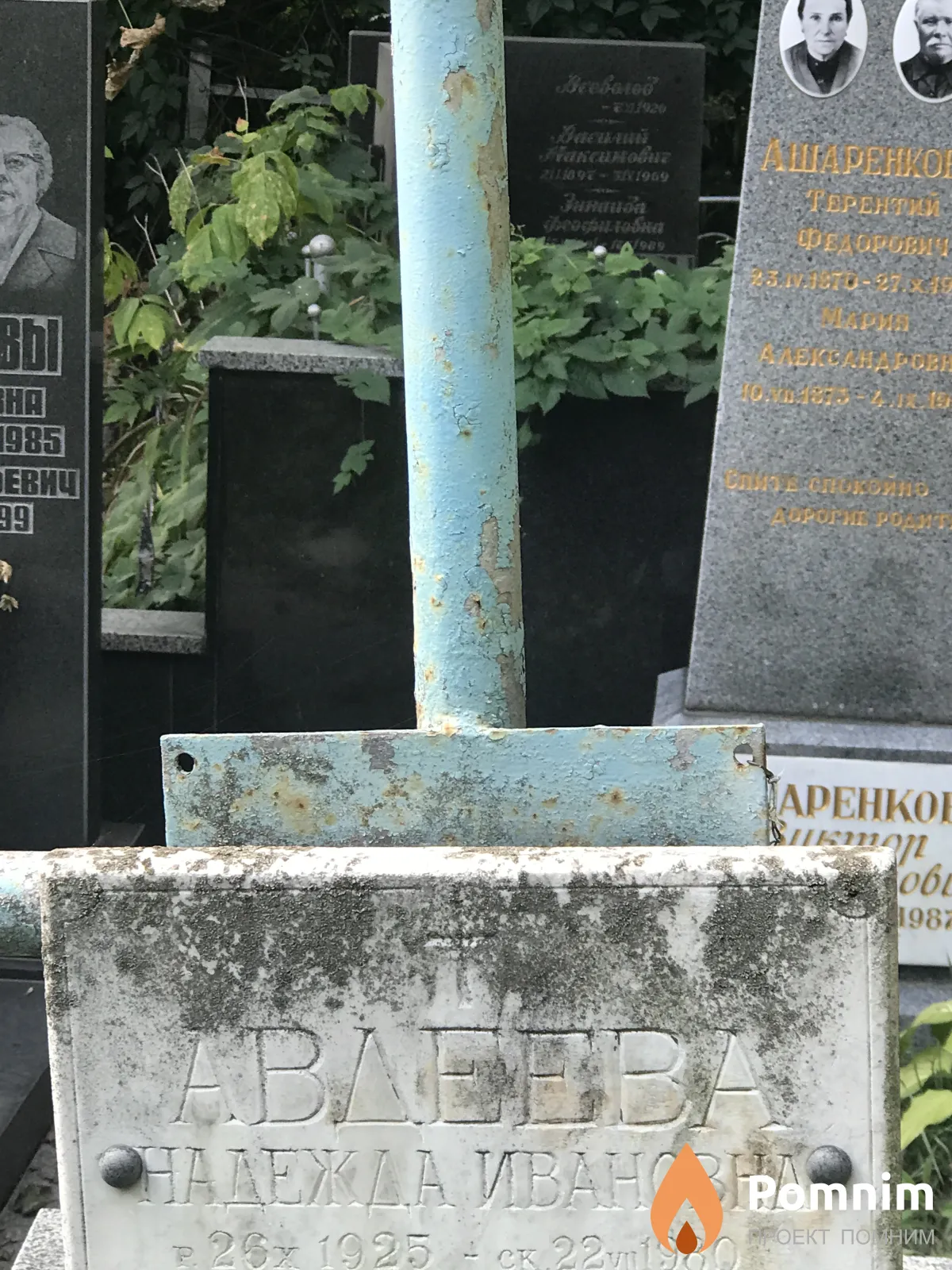 Авдеева Надежда Ивановна