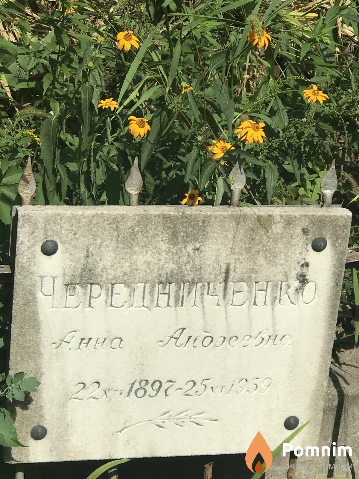 Чередниченко Анна Андреевна