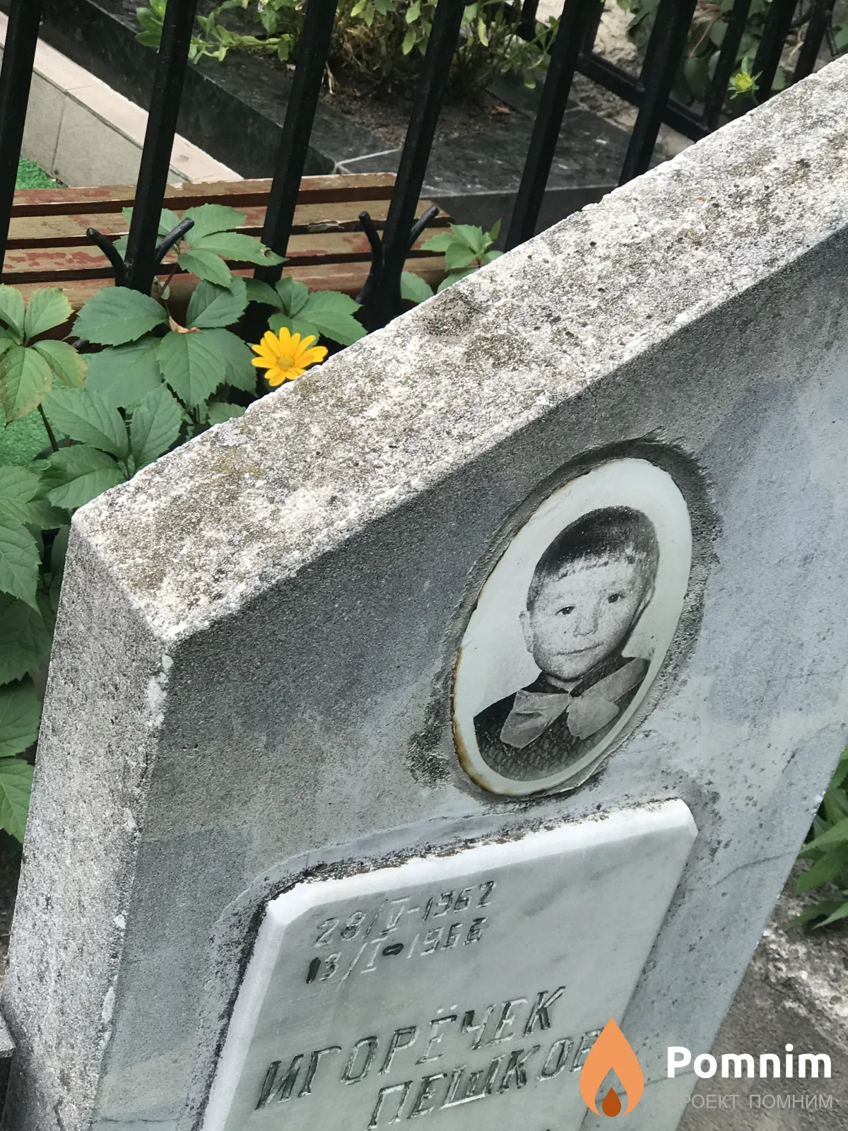 Пешков Игорь